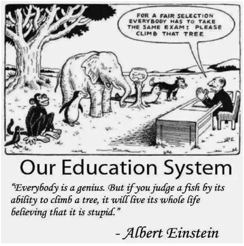 our education system